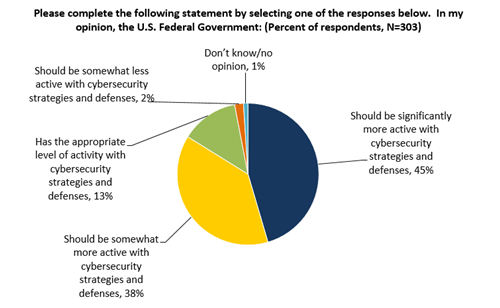 Figure 32. Role of the U.S. Federal Government with Regard to Cybersecurity